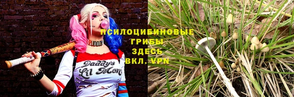 гашиш Переславль-Залесский