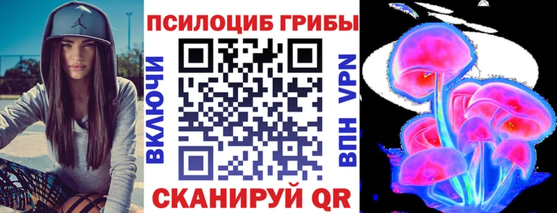 нарко площадка клад  Павловск  Псилоцибиновые грибы прущие грибы  закладка  ОМГ ОМГ  